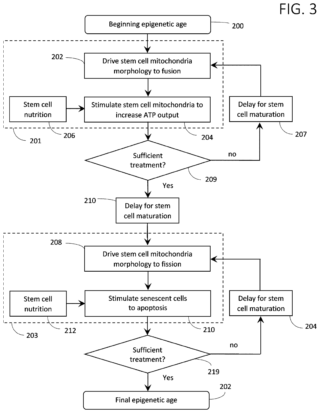 Methods and compositions for rapidly decreasing epigenetic age and restoration of more youthful function