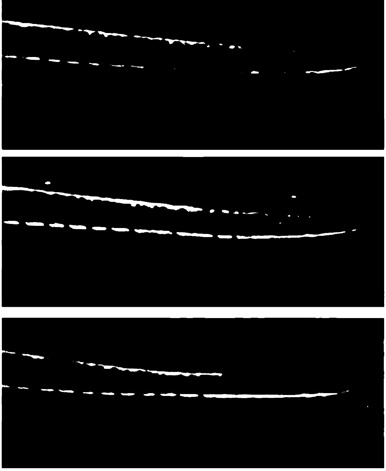 Application of lycium ruthenicum seed oil extracts in hypolipidemic medicines