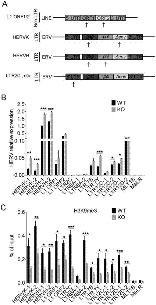 Colorectal cancer biomarker