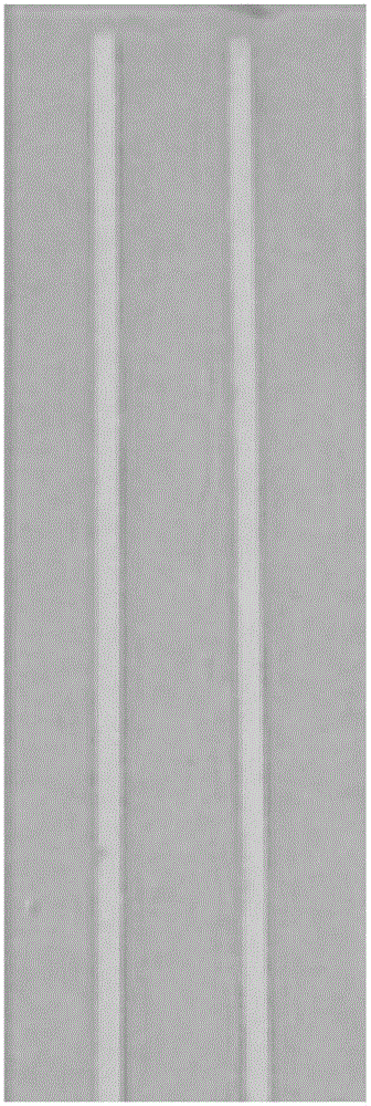 Narrow band thin-layer chromatographic sheet and preparation method thereof