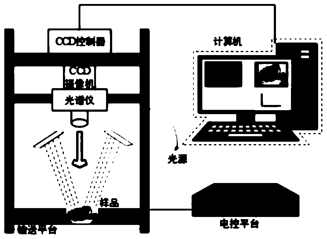 Determining method for quality grade of Chinese mitten crab based on information fusion