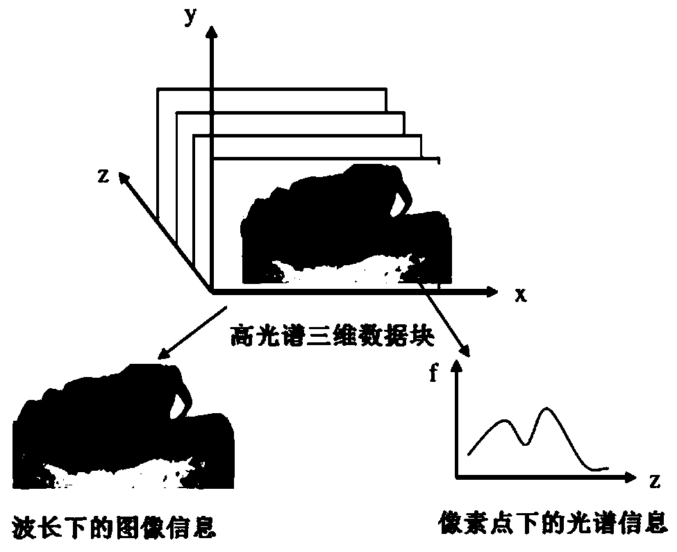 Determining method for quality grade of Chinese mitten crab based on information fusion