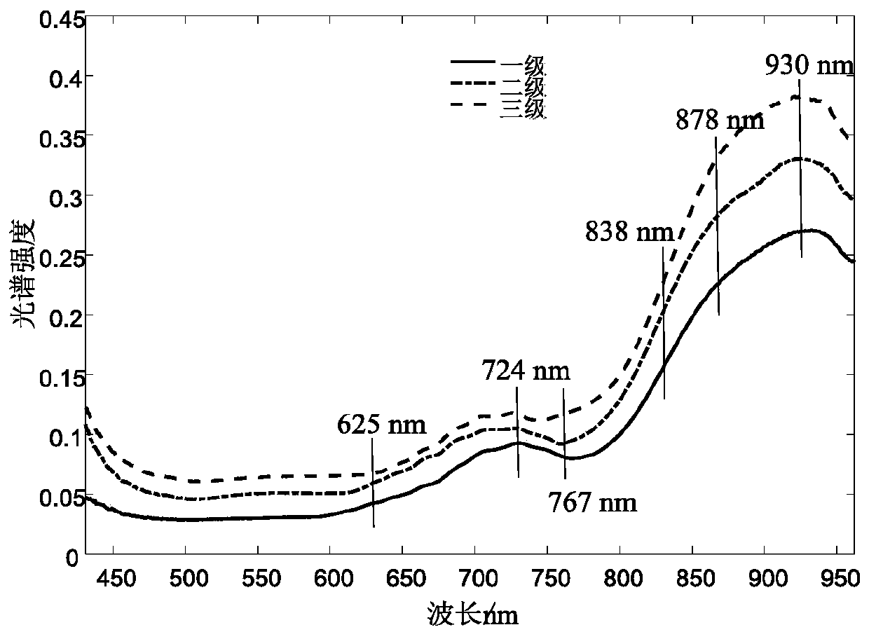 Determining method for quality grade of Chinese mitten crab based on information fusion