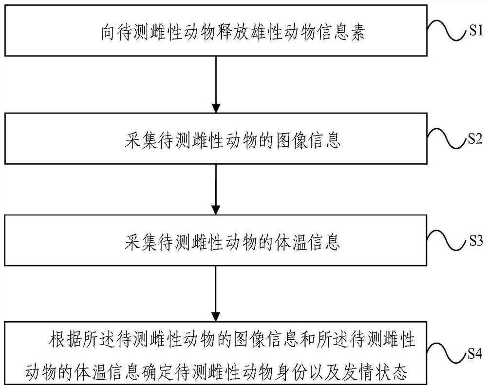 Animal oestrus monitoring device and method