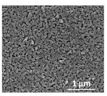 Lithium cobalt oxide composite film electrode and preparation method thereof