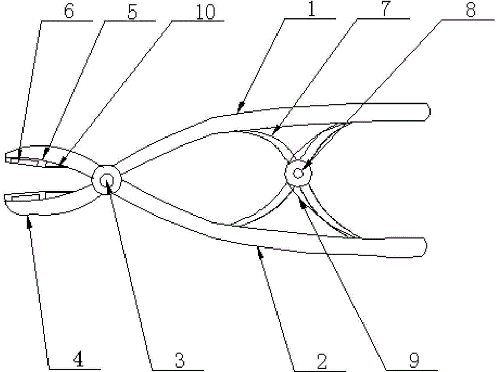 Dental forceps