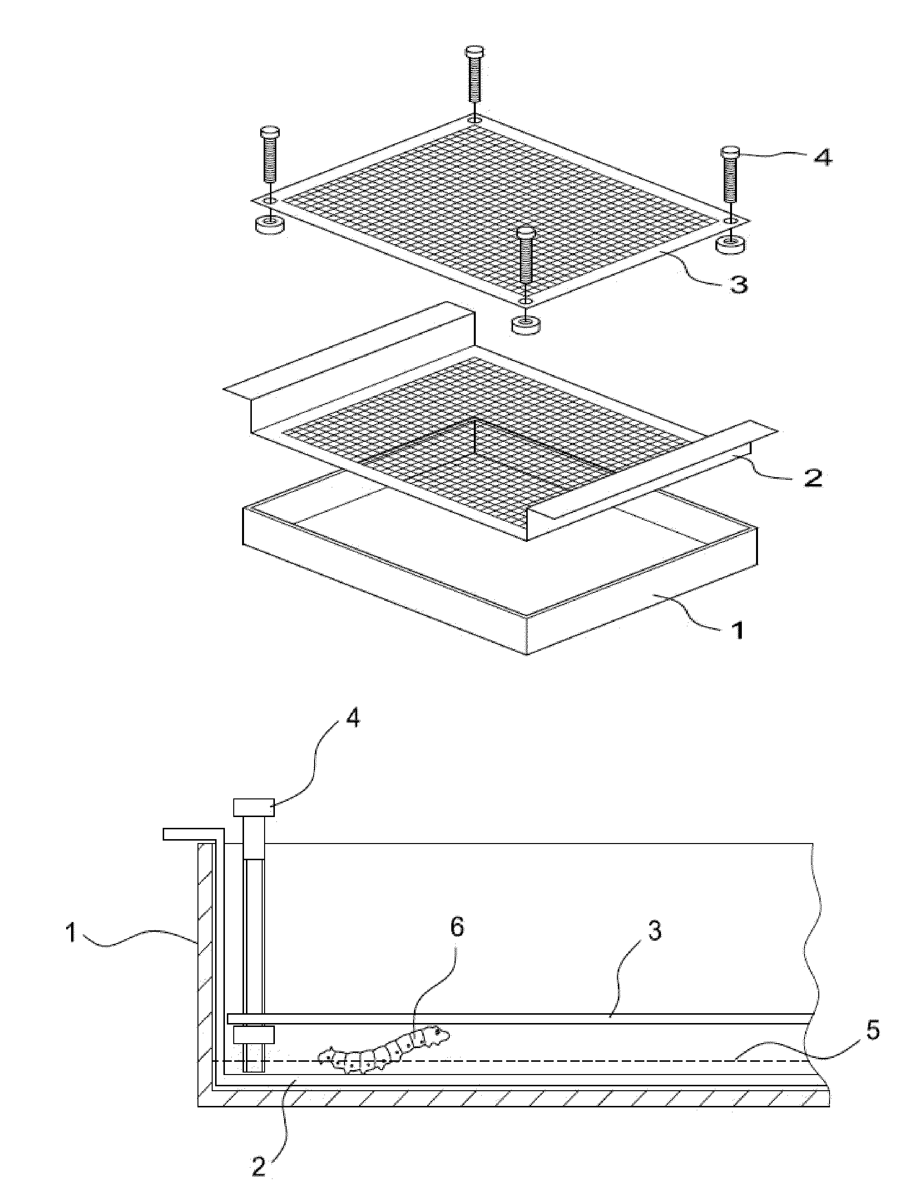 Insect Infection Method for Production of Proteins