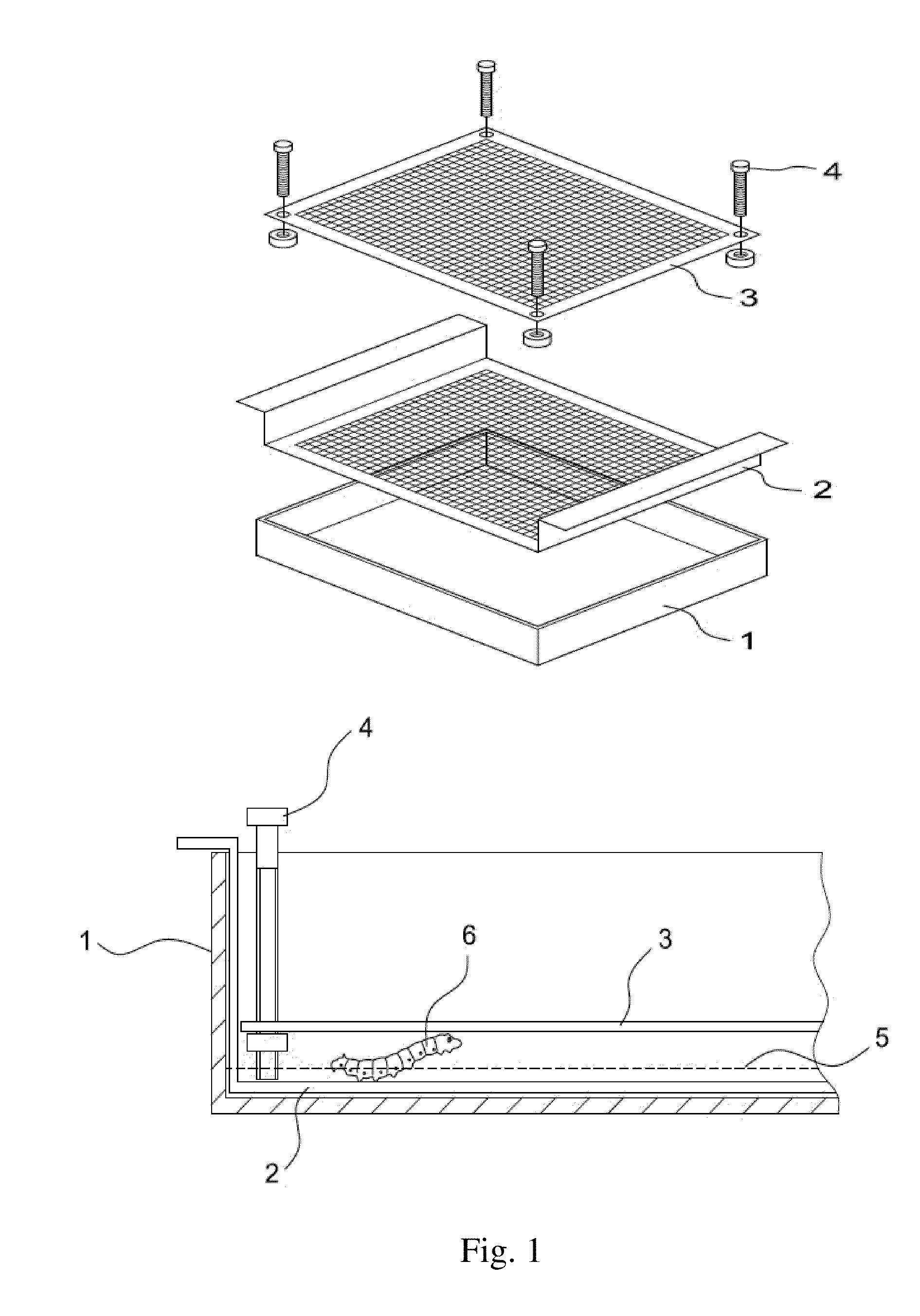 Insect Infection Method for Production of Proteins