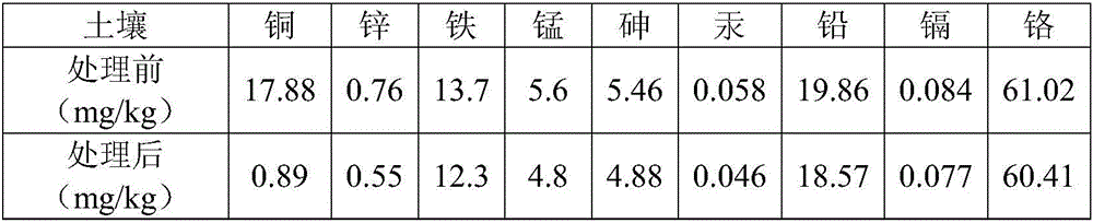 Method for treating citrus yellow shoot