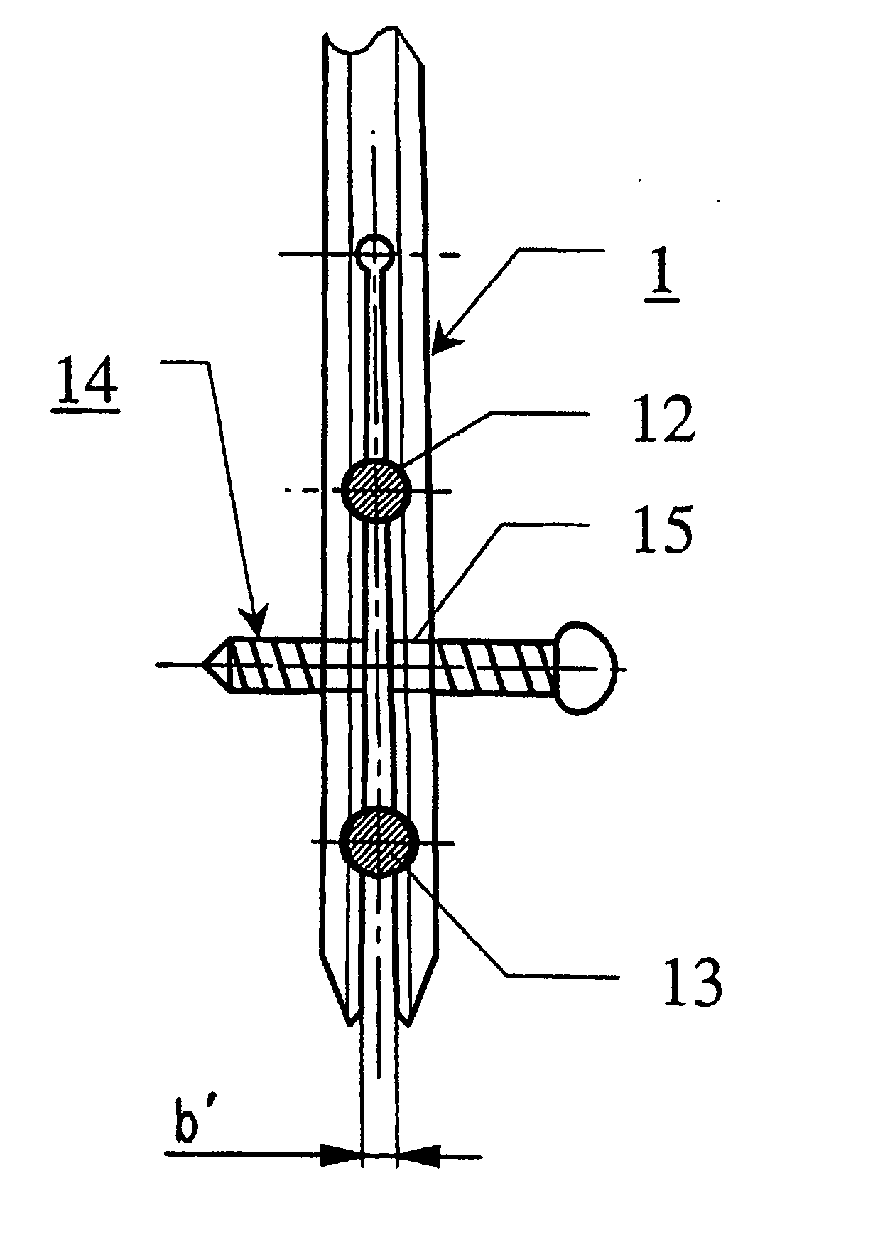 Intramedullary nail