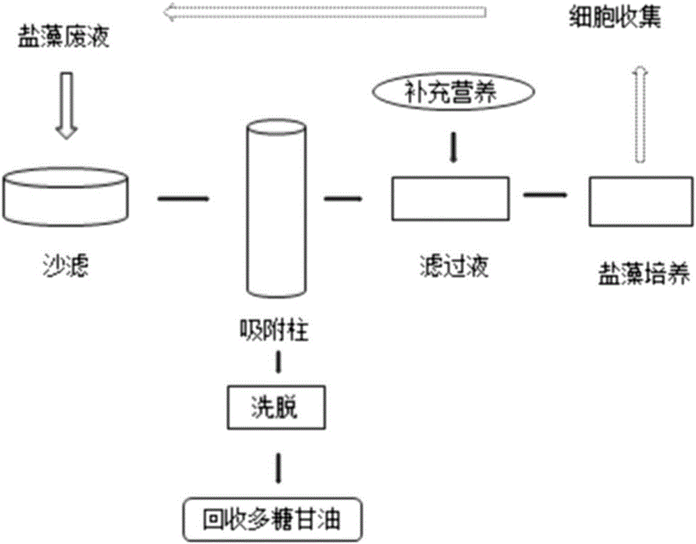 High-added-value treating method for waste culture liquid of Dunaliella salina