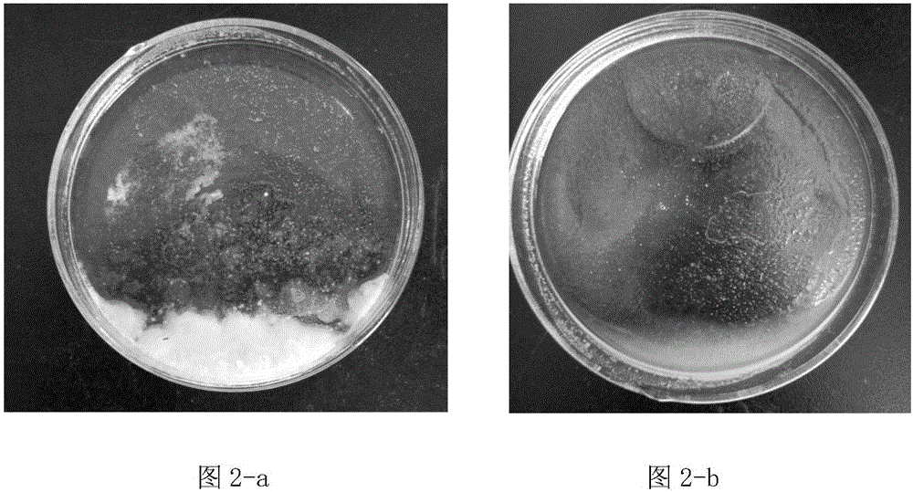 High-added-value treating method for waste culture liquid of Dunaliella salina