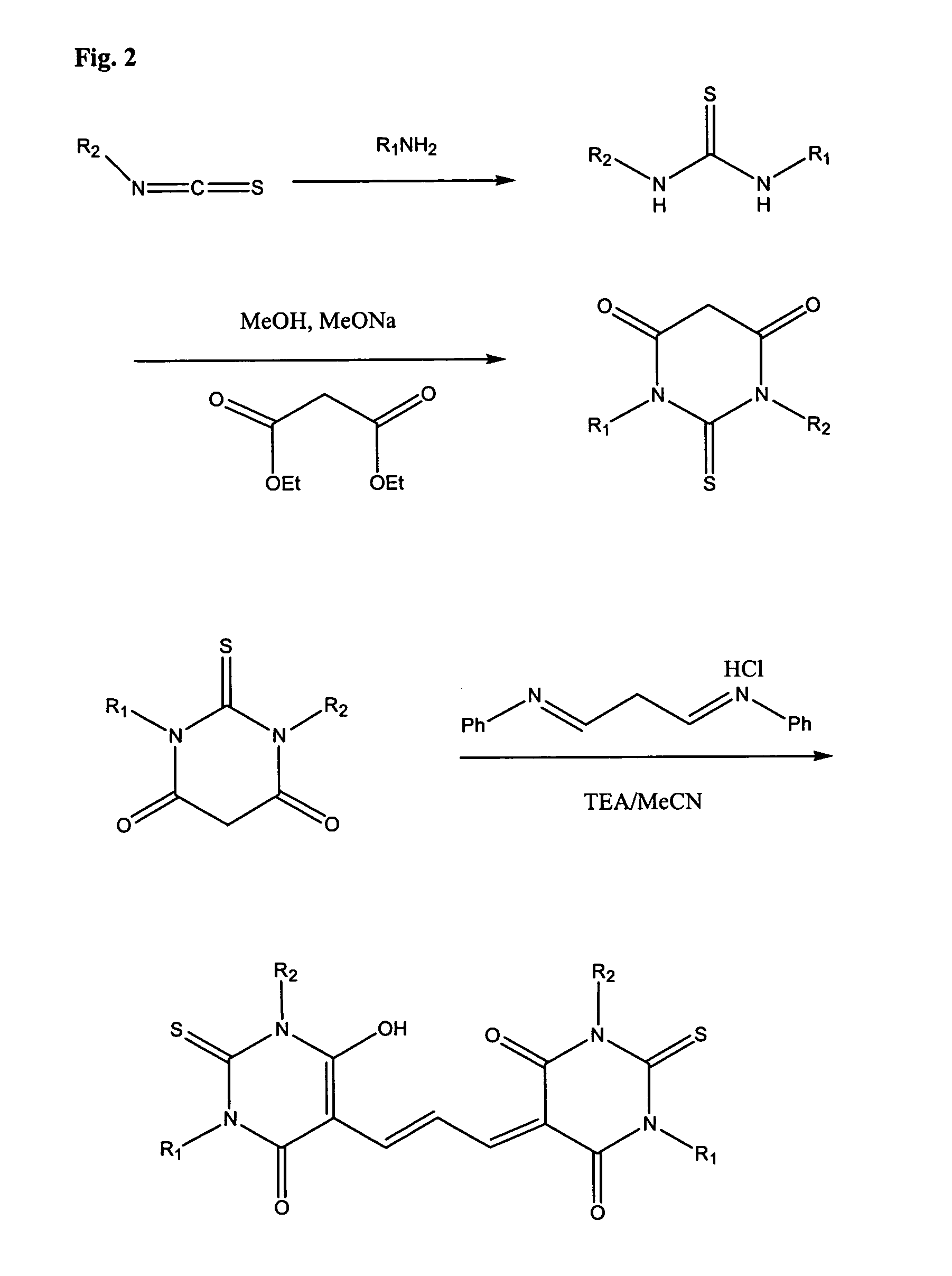 Detection of transmembrane potentials using asymmetric thiobarbituric acid-derived polymethine oxonols