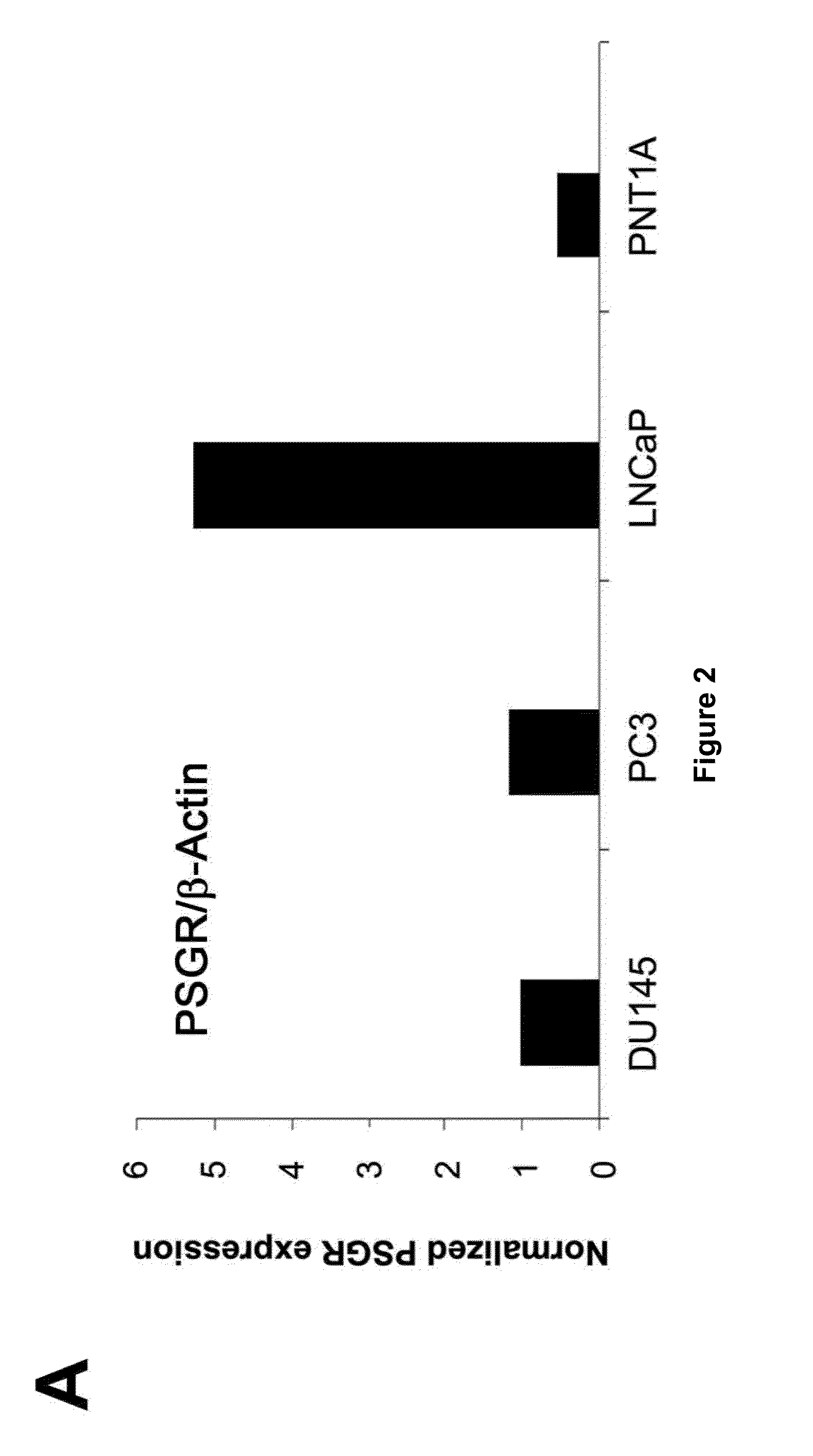 Prostate-specific tumor antigens and uses thereof