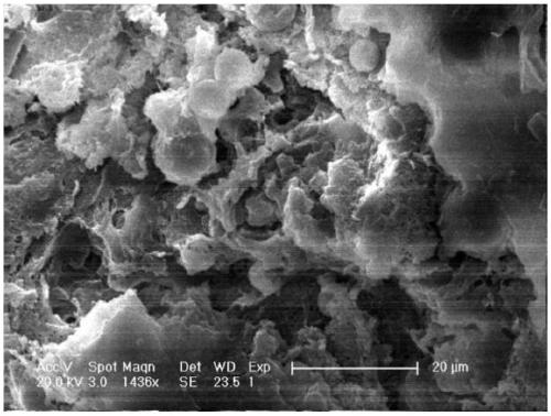 Polymer carrier loaded trans-1, 4-polyisoprene titanium catalyst and use method thereof