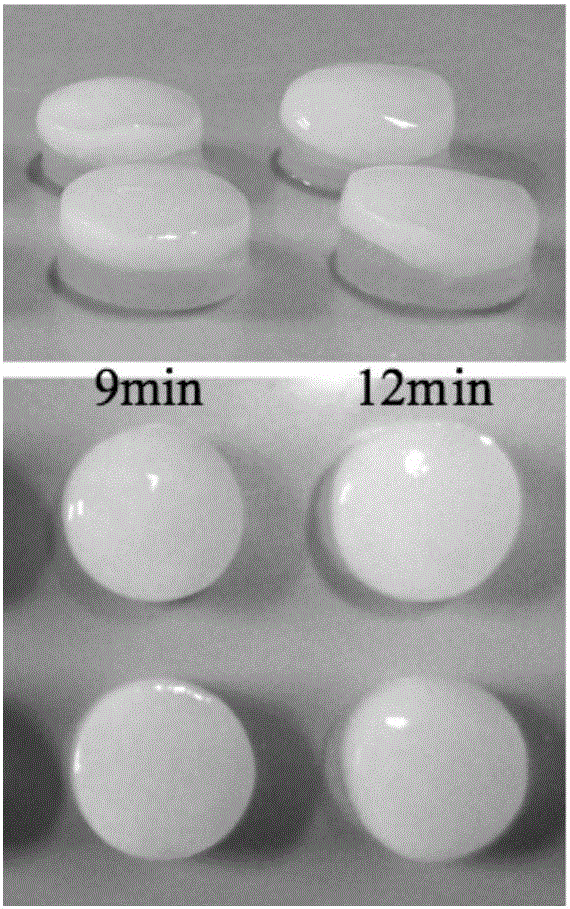 Double-layer composite hydrogel for repairing bone and cartilage tissues as well as preparation method and application of double-layer composite hydrogel