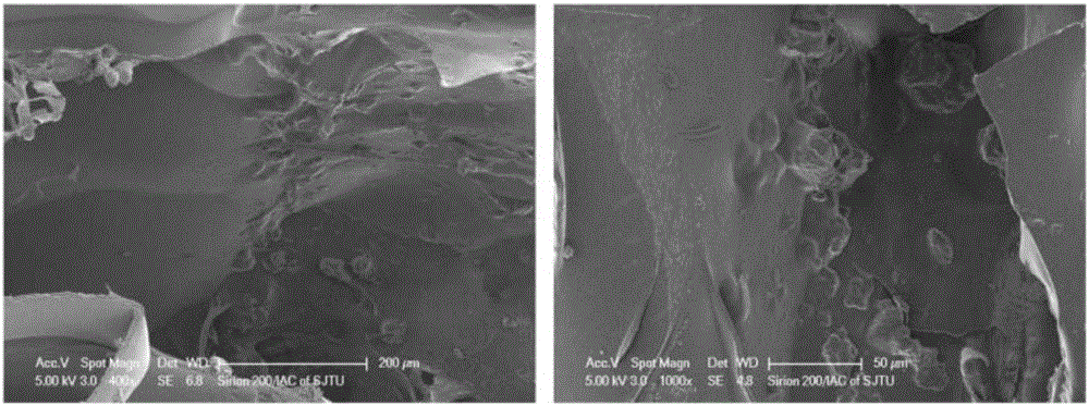 Double-layer composite hydrogel for repairing bone and cartilage tissues as well as preparation method and application of double-layer composite hydrogel