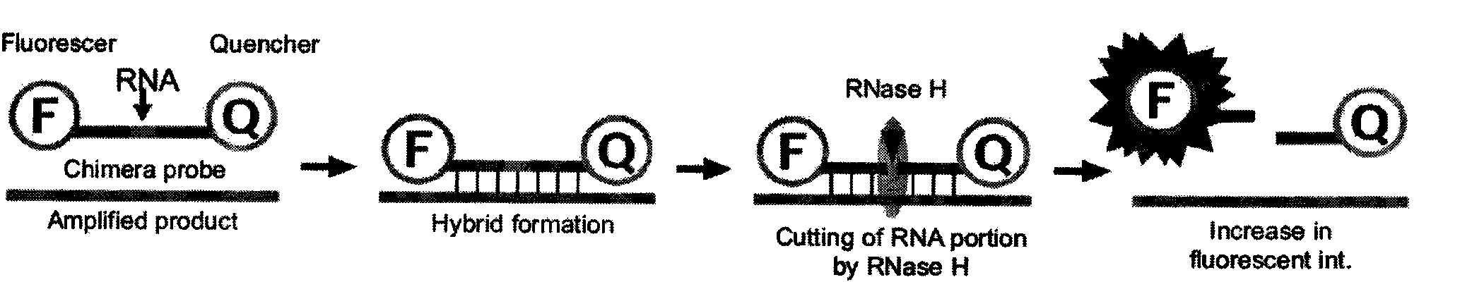 Method for detecting resistant mutant of mycoplasma pneumoniae