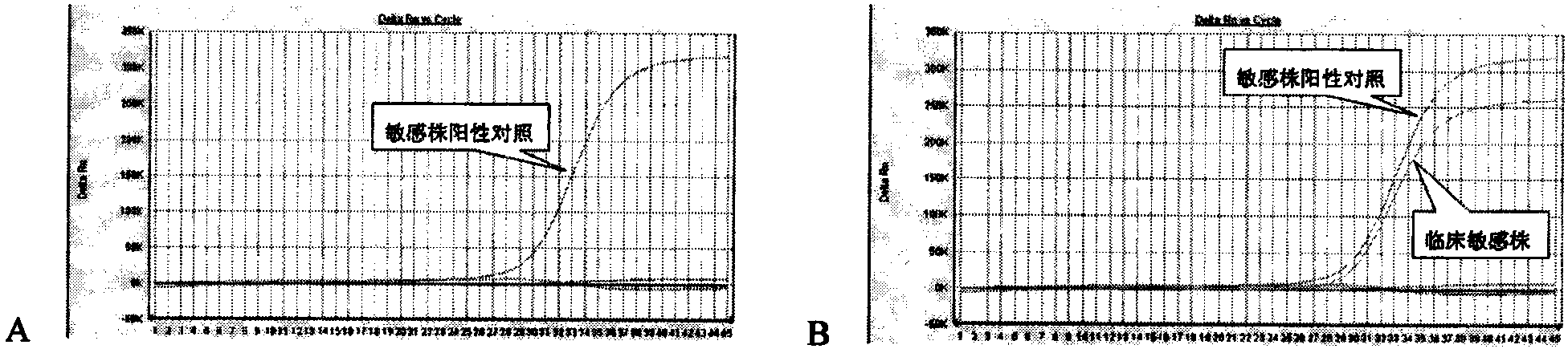 Method for detecting resistant mutant of mycoplasma pneumoniae