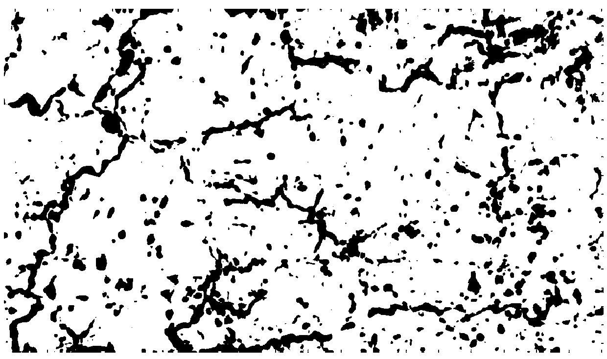 Method and system for constructing space-variant wavelet bodies