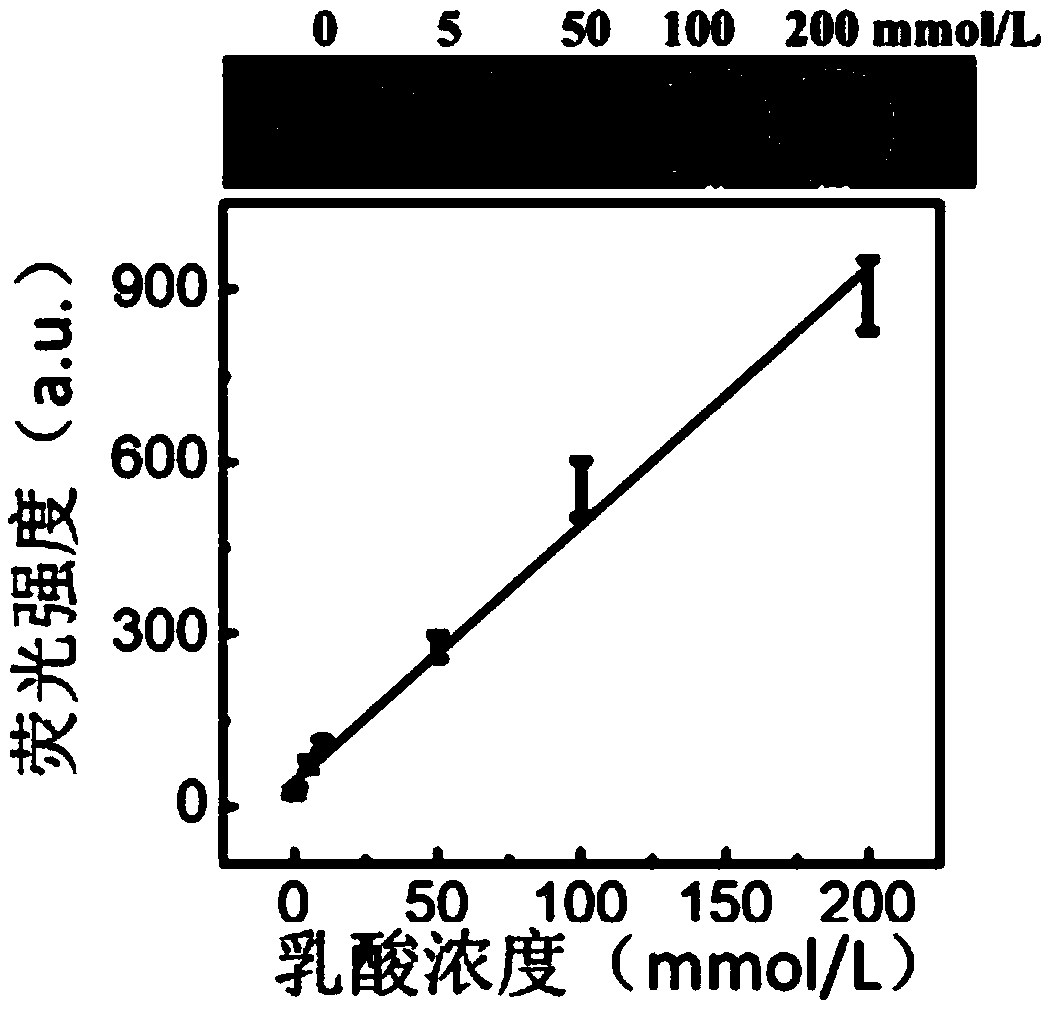 Preparation method of nanocolumn array paper and application thereof