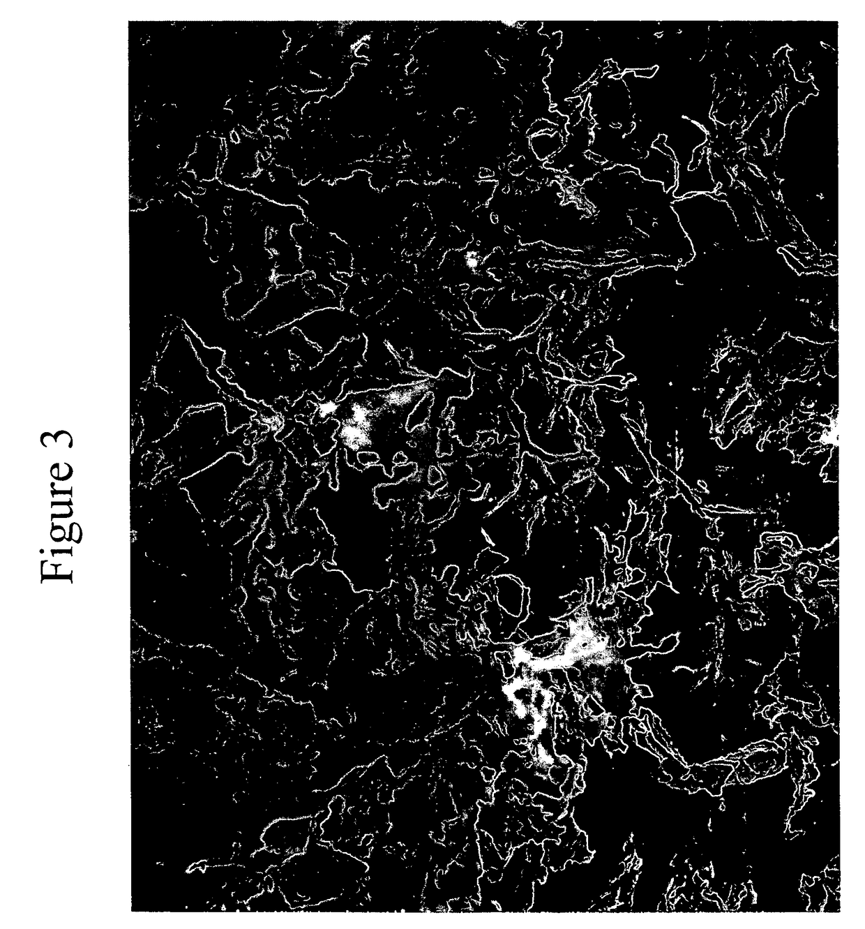 Hemostatic compositions and devices