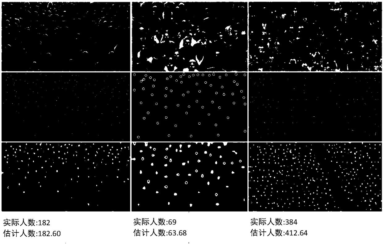 A method and system for counting crowds