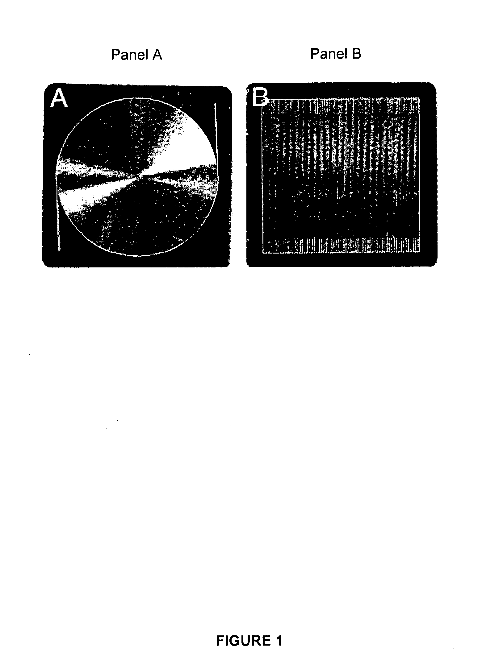 Column Design for Micro Gas Chromatograph