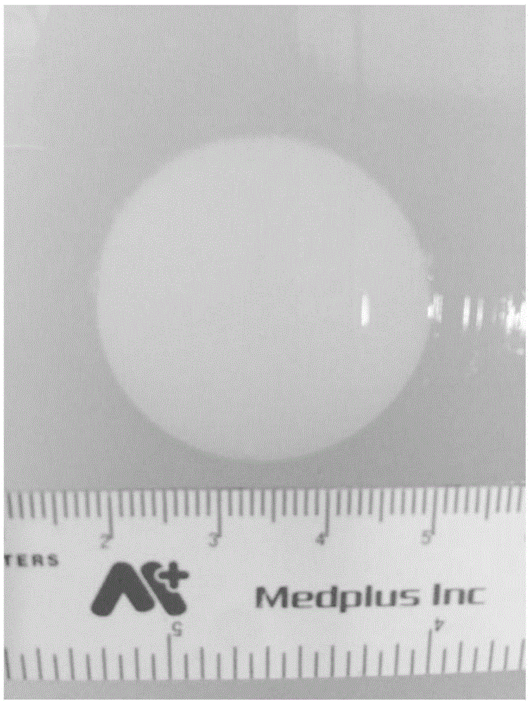 Simulation model for evaluating tumor ablation range through ultrasonic mono-modal image fusion