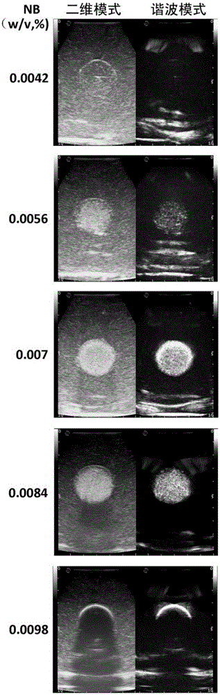 Simulation model for evaluating tumor ablation range through ultrasonic mono-modal image fusion