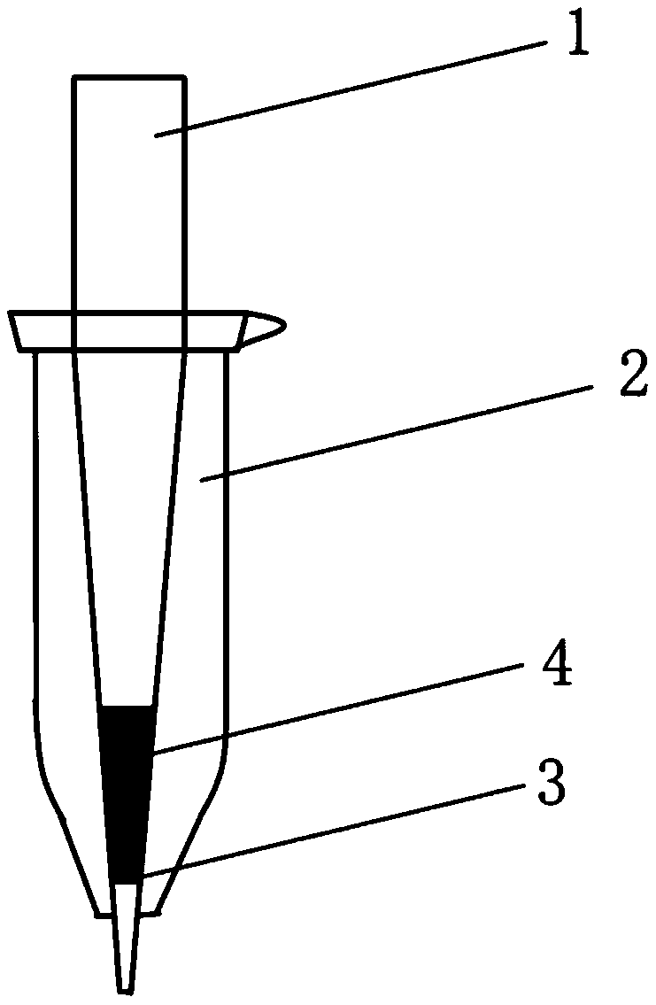 Preparation method and application of solid phase extraction column enriched with biogenic amines