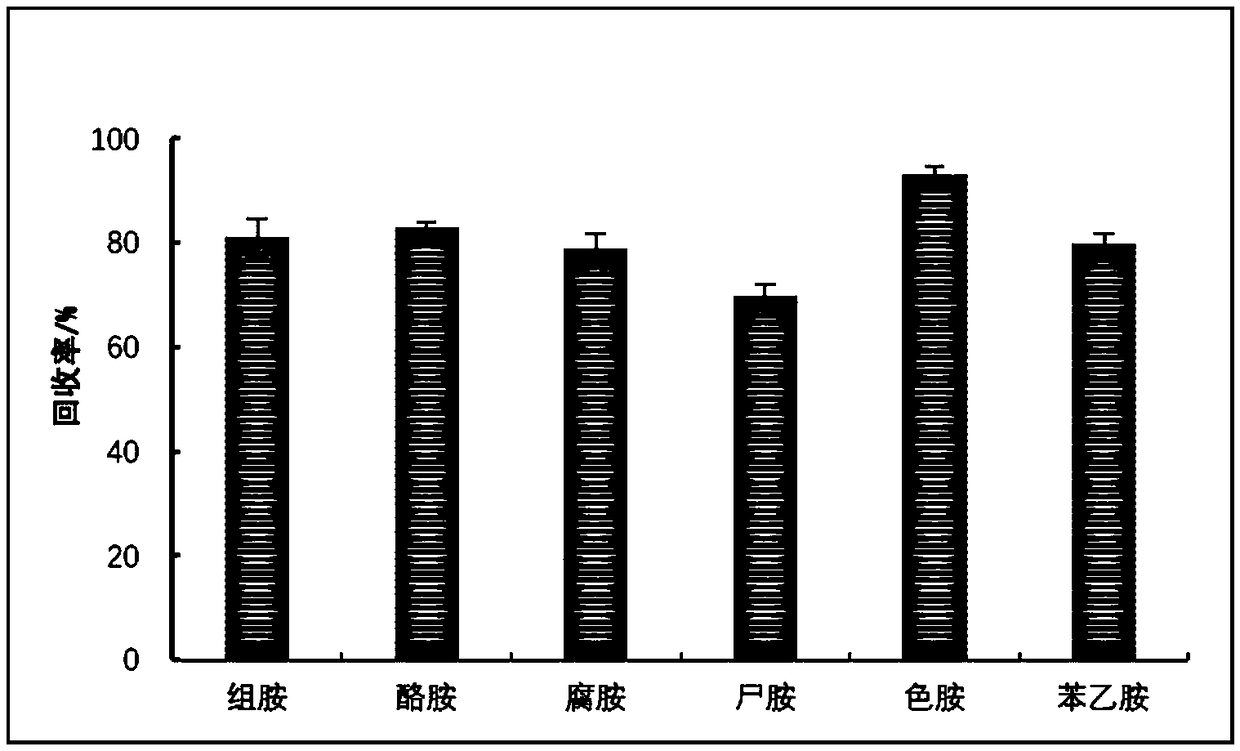 Preparation method and application of solid phase extraction column enriched with biogenic amines