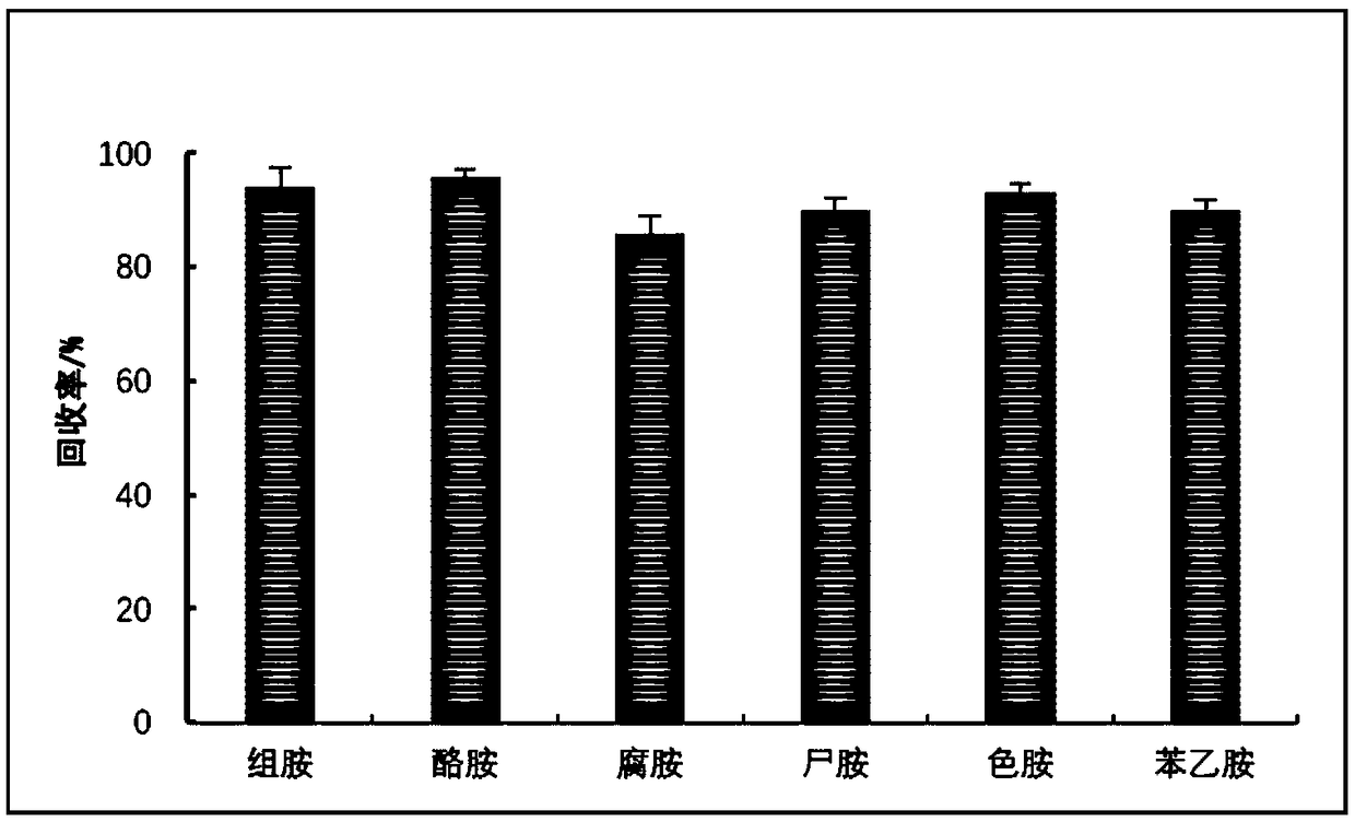 Preparation method and application of solid phase extraction column enriched with biogenic amines