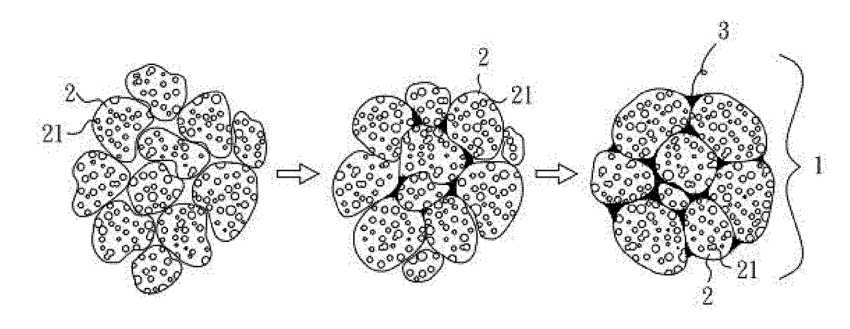 Quantum carrier for improving soil function and method of preparation thereof