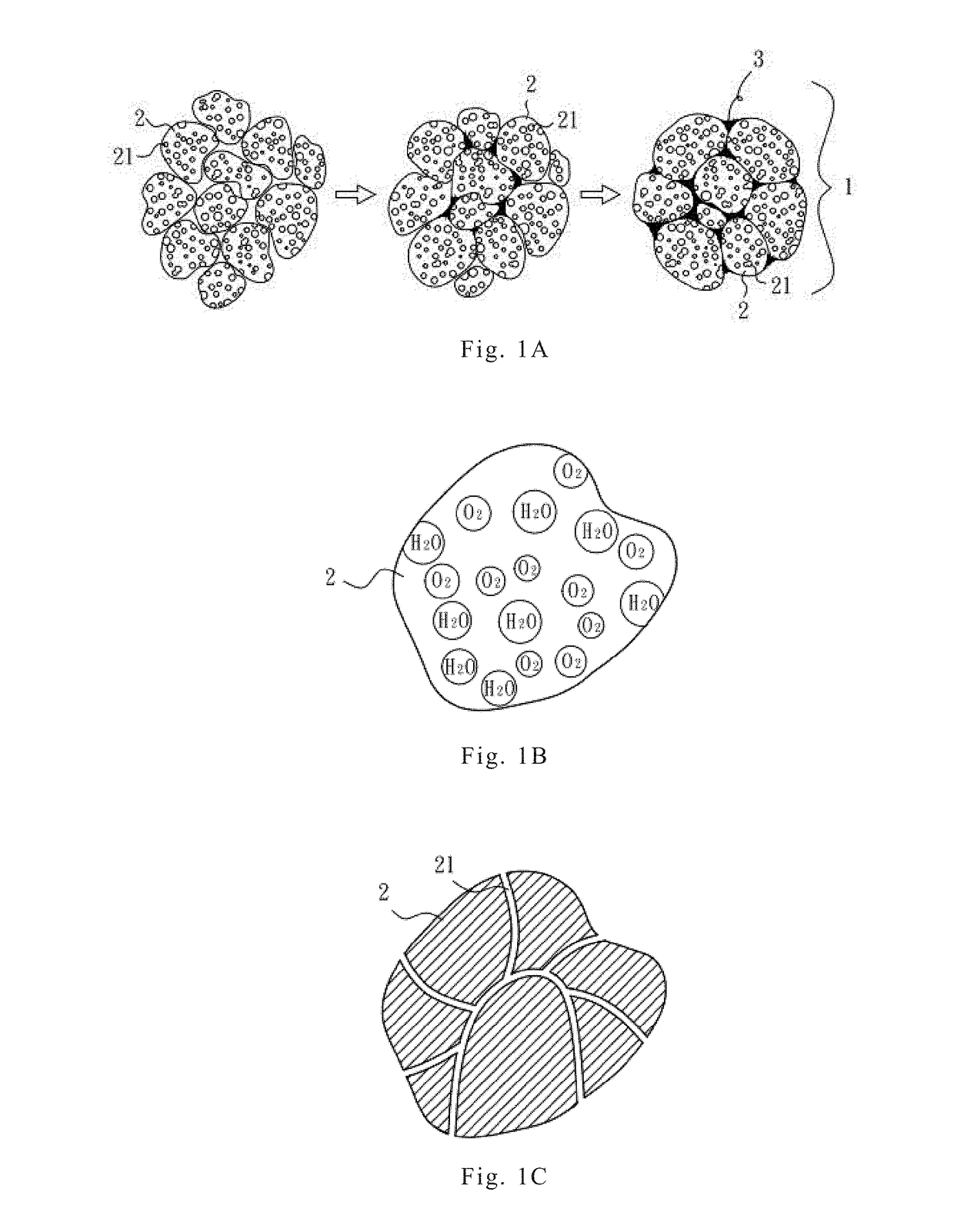 Quantum carrier for improving soil function and method of preparation thereof