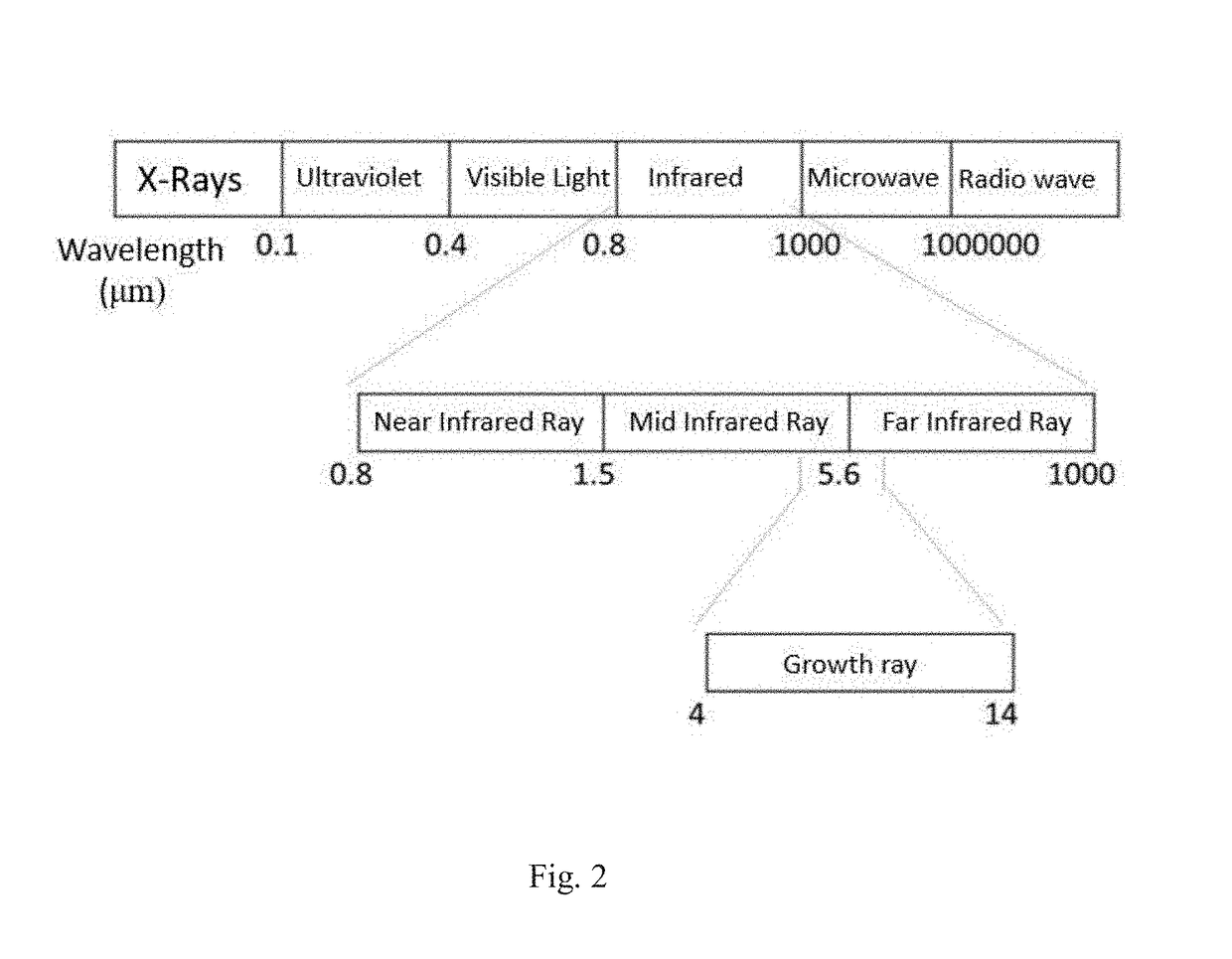 Quantum carrier for improving soil function and method of preparation thereof