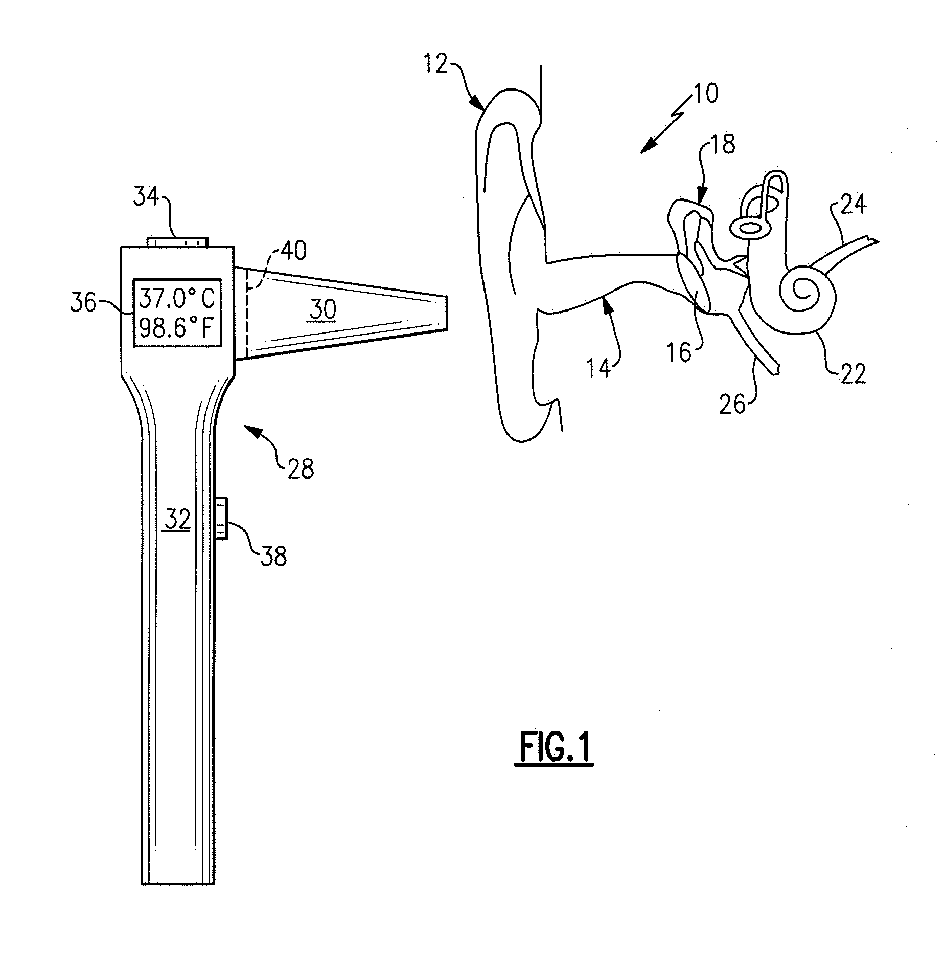 Thermometer for determining the temperature of an animal's ear drum and method of using same