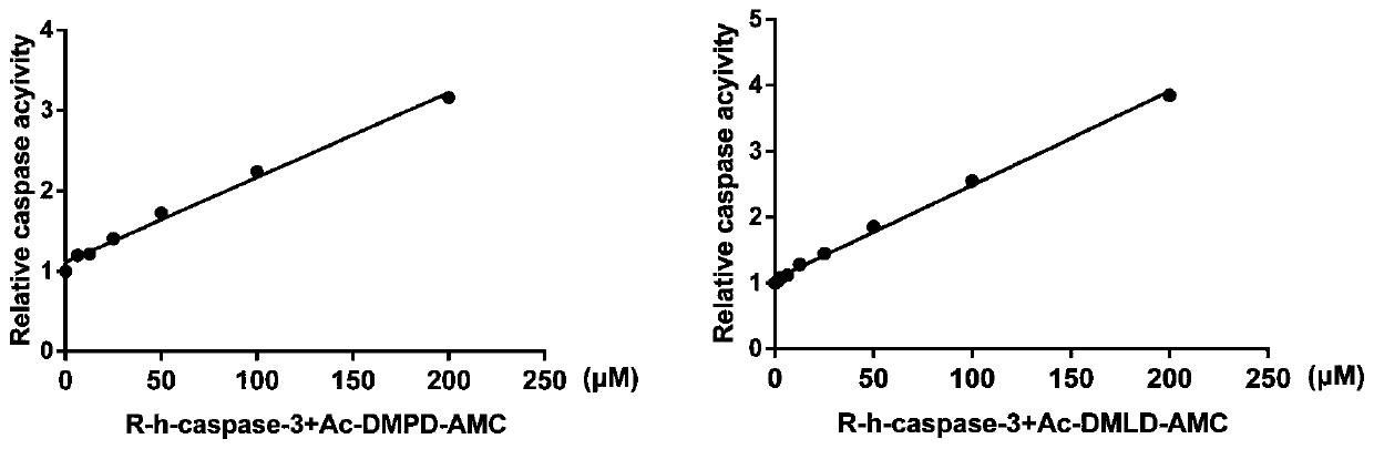 Caspase-3 inhibitor and purpose