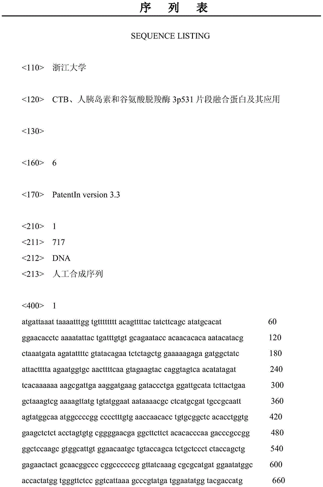 Fusion protein of CTB (Cellulose Tribenzoate), human insulin and glutamic acid decarboxylase 3p531 fragments and application thereof