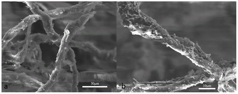 In-situ preparation method of cellulose-silicon dioxide composite aerogel