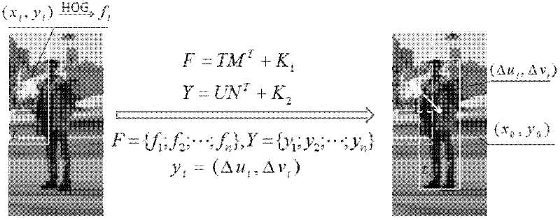 Pedestrian detection method based on position correction model