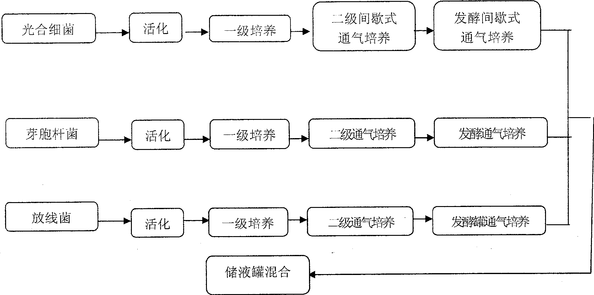 Microbial fertilizer and its preparation process and application