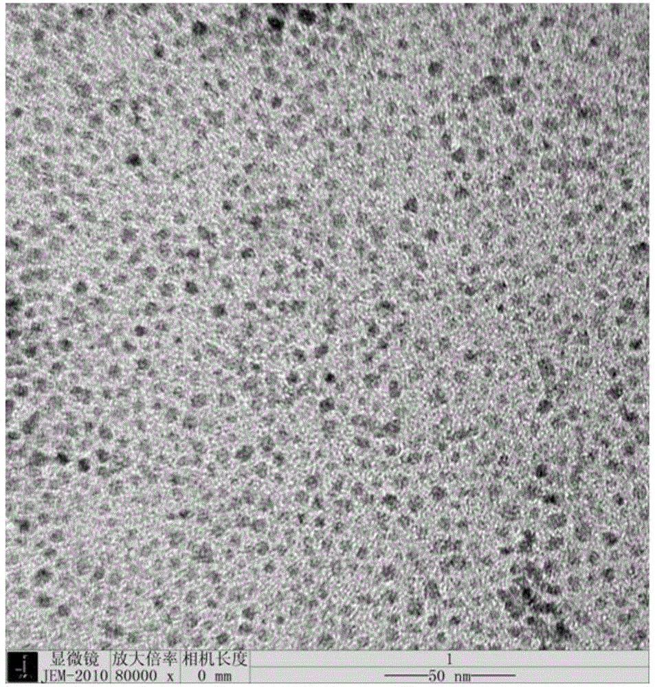 Immunochromatographic test paper for detecting hepatitis B surface antigens and preparation method thereof