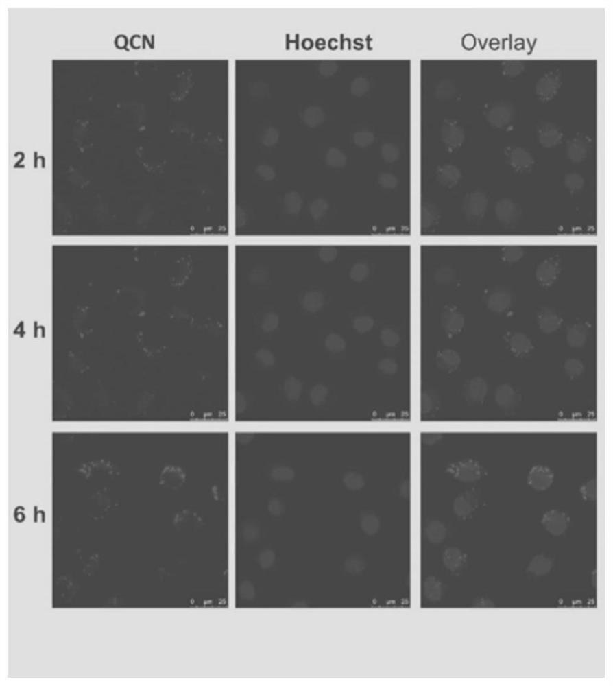 Aggregation-induced luminescence photosensitizer, preparation method and application