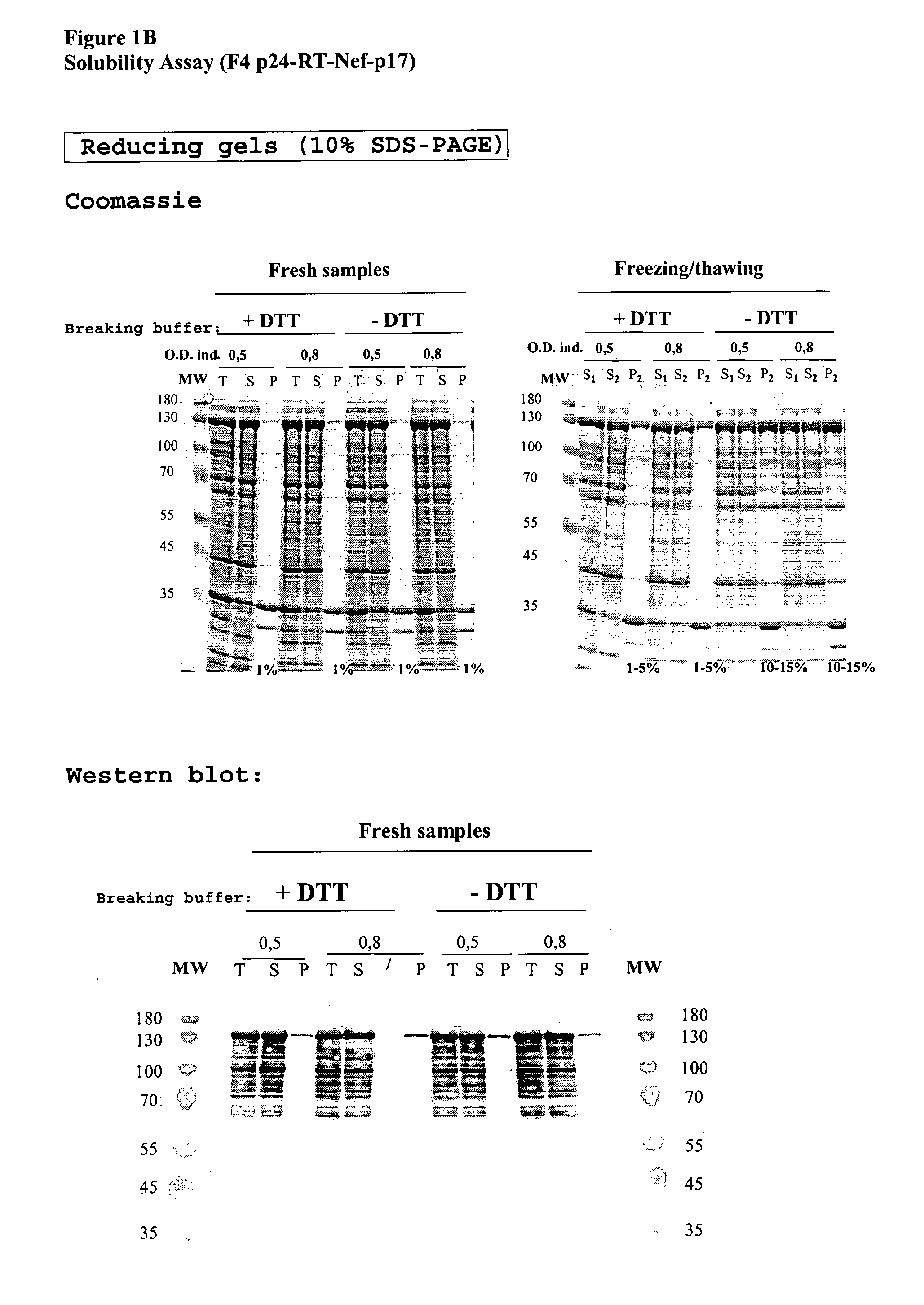 Vaccine for Prevention and Treatment of Hiv-Infection