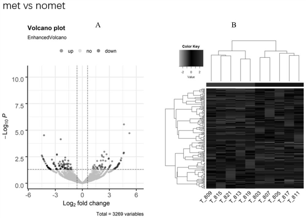 Application of a circRNA marker for the diagnosis of colorectal cancer