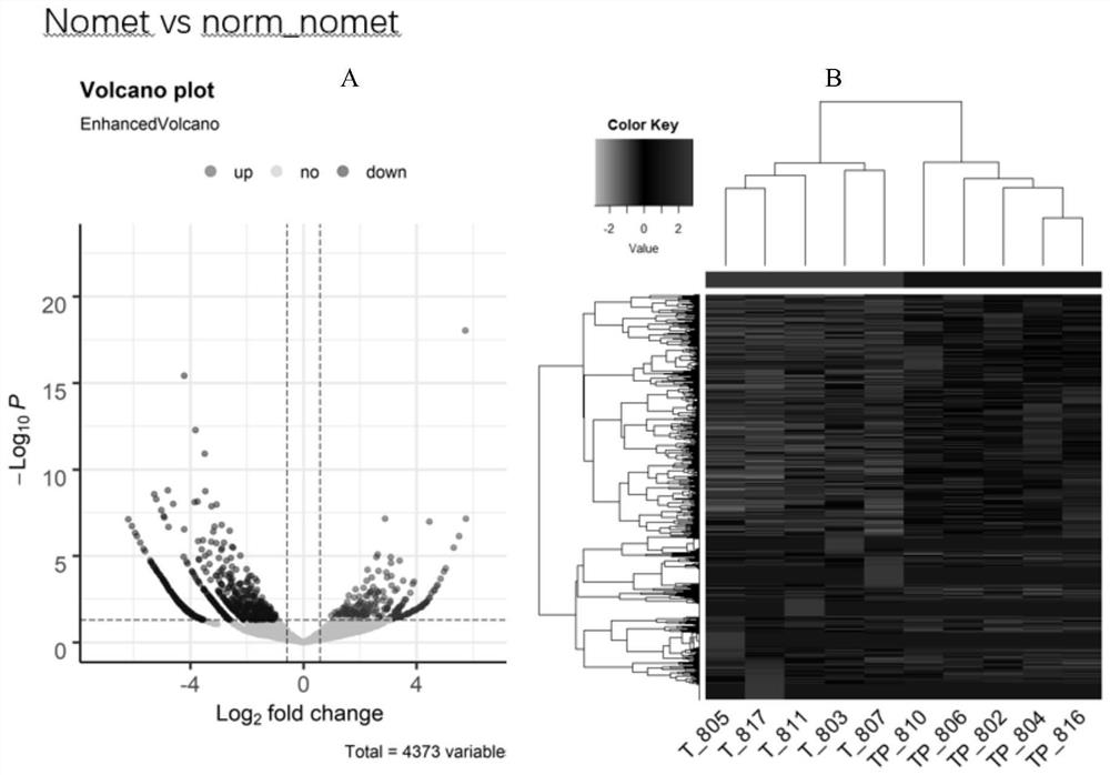 Application of a circRNA marker for the diagnosis of colorectal cancer