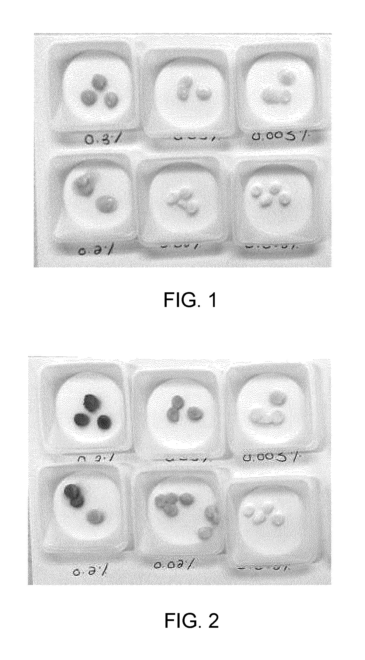 Chromogenic absorbent material for animal litter and related chromogenic solution