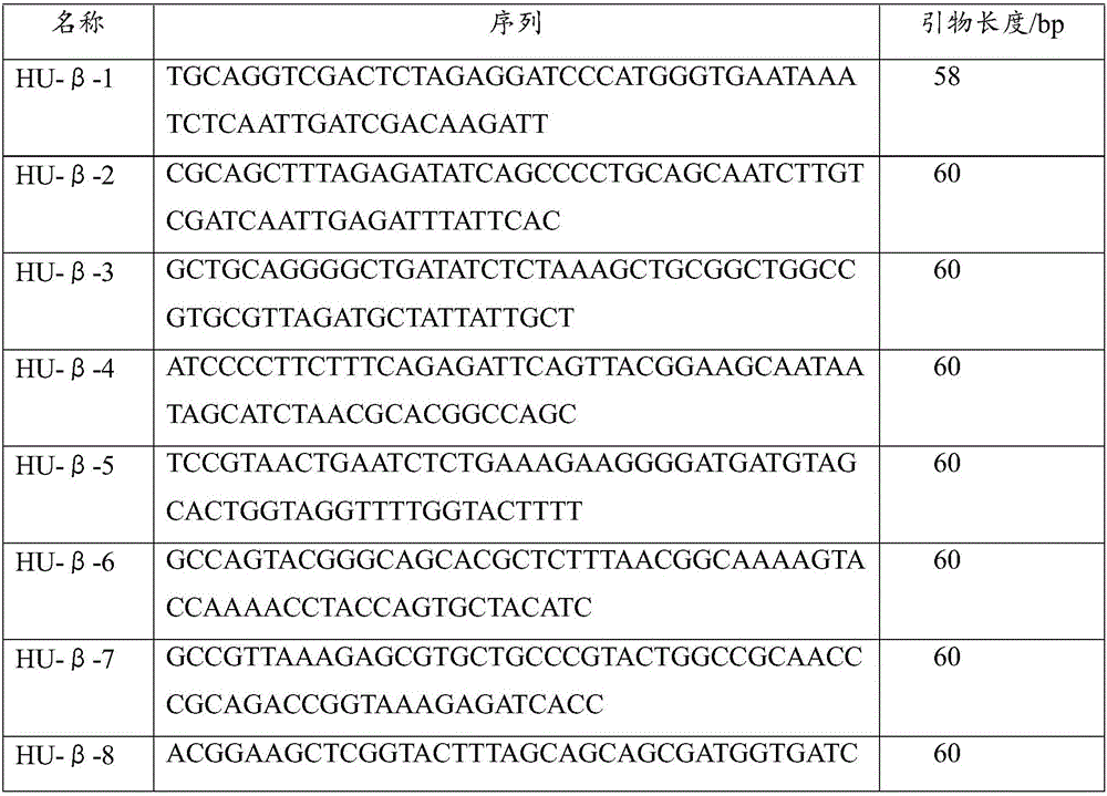 Method for using polyethyleneimine to strengthen sensitivity and specificity of PCR gene splicing by overlap extension