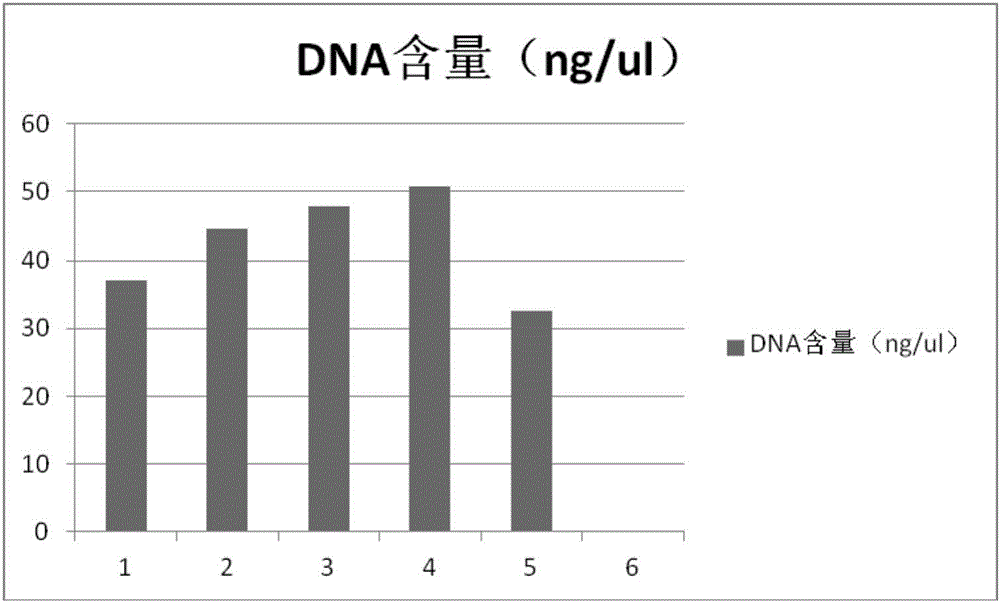 Method for using polyethyleneimine to strengthen sensitivity and specificity of PCR gene splicing by overlap extension